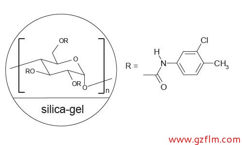 FLM Chiral NZ(2)