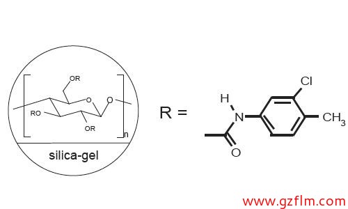 FLM Chiral ND